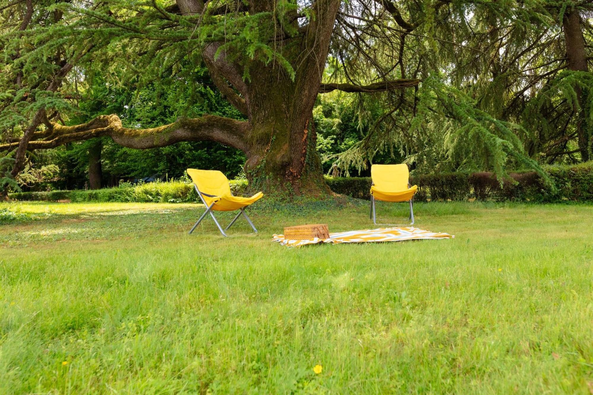 Il Patio Di Carlotta